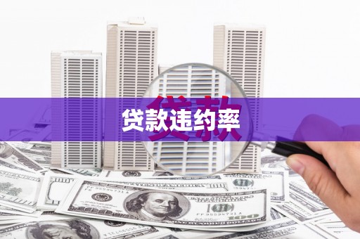 微山贷款违约率