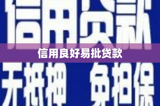 微山信用良好易批贷款