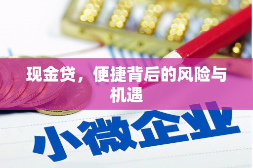 微山现金贷，便捷背后的风险与机遇