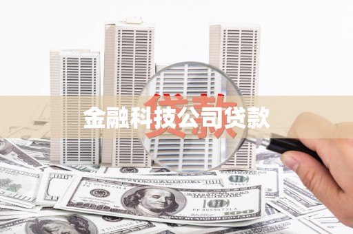 微山金融科技公司贷款