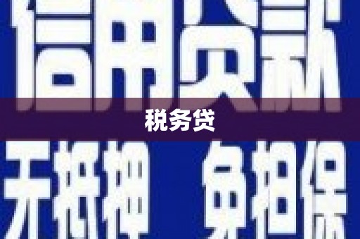 微山税务贷