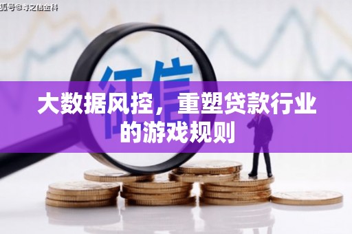 微山大数据风控，重塑贷款行业的游戏规则