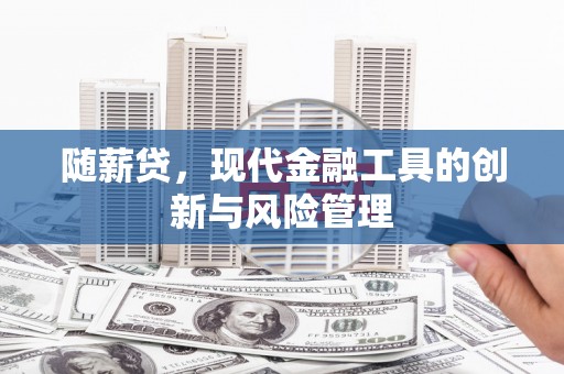 微山随薪贷，现代金融工具的创新与风险管理