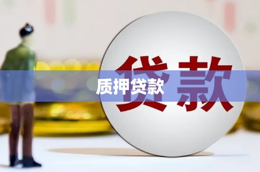 微山质押贷款