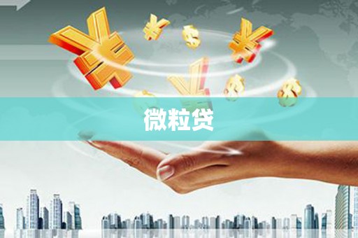 微山微粒贷