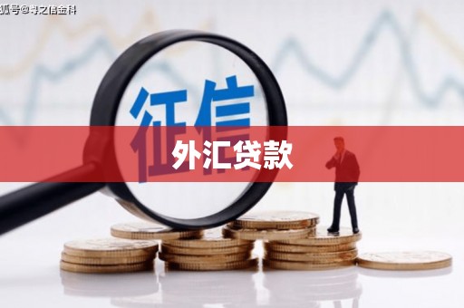 微山外汇贷款