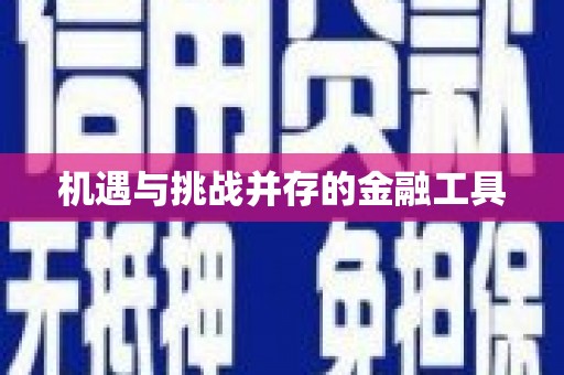 微山机遇与挑战并存的金融工具