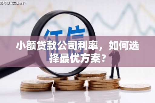 微山小额贷款公司利率，如何选择最优方案？