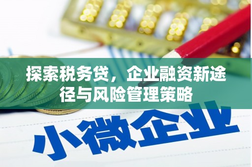 微山探索税务贷，企业融资新途径与风险管理策略