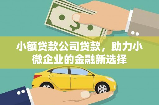 微山小额贷款公司贷款，助力小微企业的金融新选择
