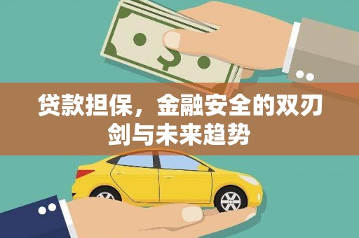 微山贷款担保，金融安全的双刃剑与未来趋势