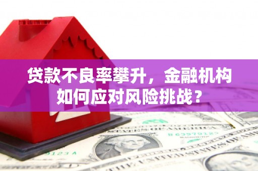 微山贷款不良率攀升，金融机构如何应对风险挑战？