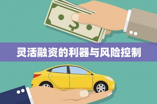 微山灵活融资的利器与风险控制