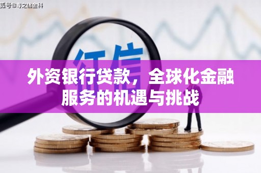 微山外资银行贷款，全球化金融服务的机遇与挑战