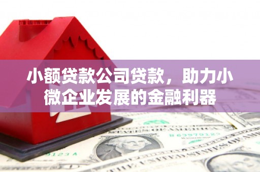 微山小额贷款公司贷款，助力小微企业发展的金融利器