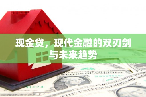 微山现金贷，现代金融的双刃剑与未来趋势