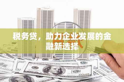 微山税务贷，助力企业发展的金融新选择