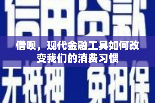 微山借呗，现代金融工具如何改变我们的消费习惯