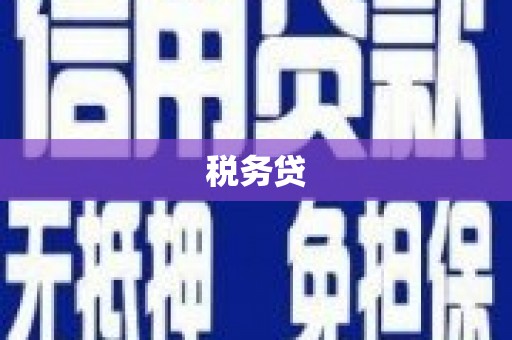 微山税务贷