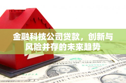 微山金融科技公司贷款，创新与风险并存的未来趋势