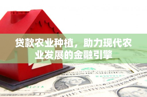 微山贷款农业种植，助力现代农业发展的金融引擎