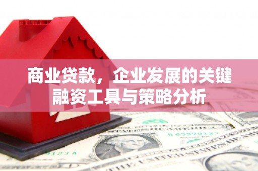 微山商业贷款，企业发展的关键融资工具与策略分析