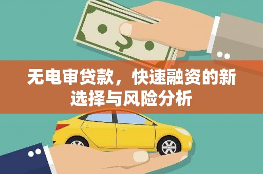 微山无电审贷款，快速融资的新选择与风险分析