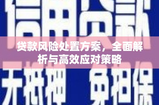 微山贷款风险处置方案，全面解析与高效应对策略