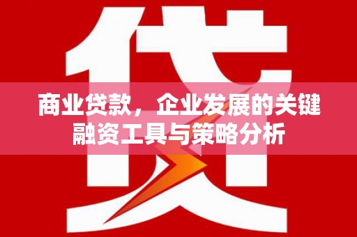 微山商业贷款，企业发展的关键融资工具与策略分析