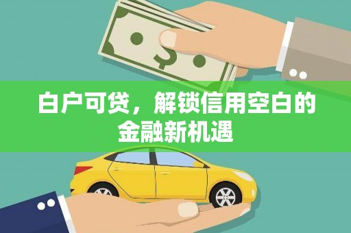 微山白户可贷，解锁信用空白的金融新机遇