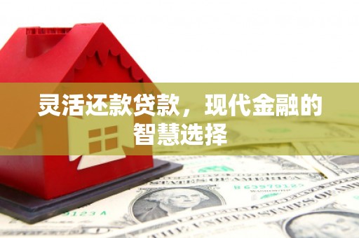 微山灵活还款贷款，现代金融的智慧选择