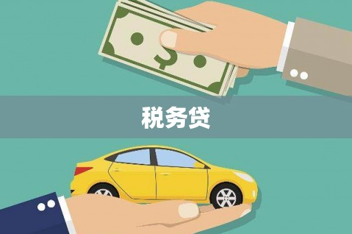 微山税务贷