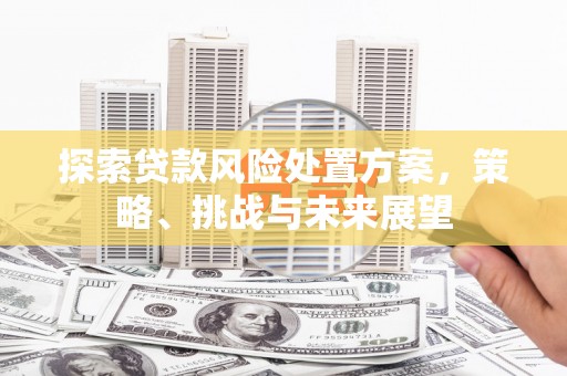 微山探索贷款风险处置方案，策略、挑战与未来展望