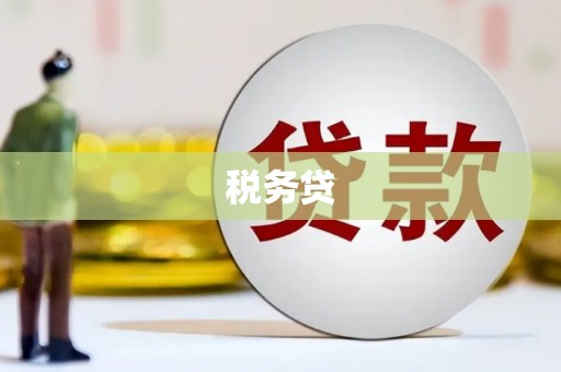 微山税务贷