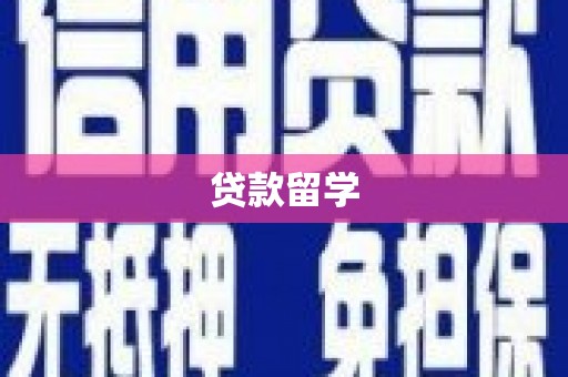 微山贷款留学
