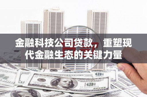 微山金融科技公司贷款，重塑现代金融生态的关键力量