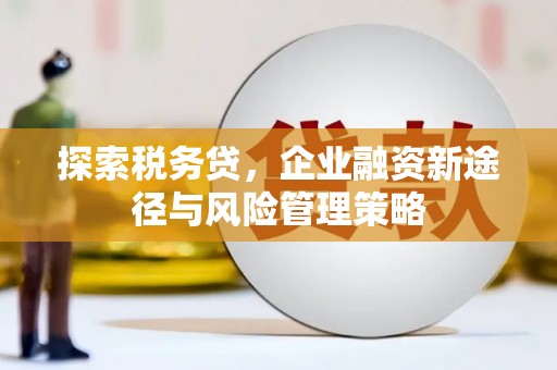 微山探索税务贷，企业融资新途径与风险管理策略