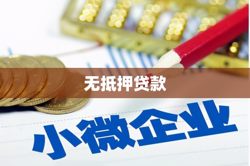 微山无抵押贷款