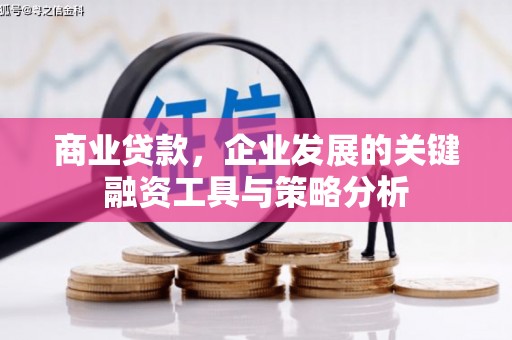 微山商业贷款，企业发展的关键融资工具与策略分析
