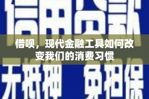 微山借呗，现代金融工具如何改变我们的消费习惯