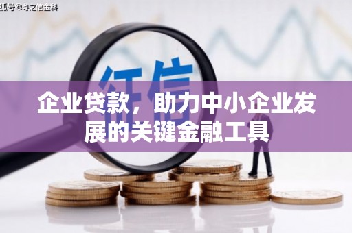 微山企业贷款，助力中小企业发展的关键金融工具