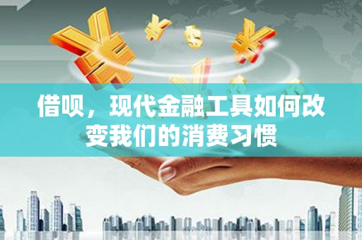 微山借呗，现代金融工具如何改变我们的消费习惯
