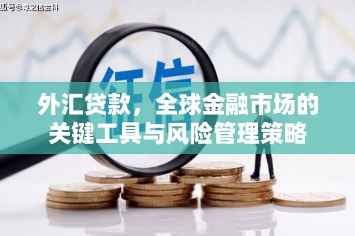微山外汇贷款，全球金融市场的关键工具与风险管理策略