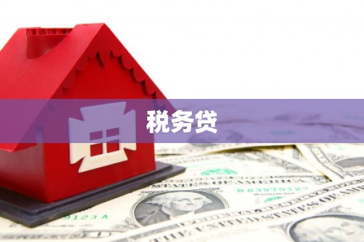 微山税务贷
