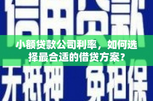 微山小额贷款公司利率，如何选择最合适的借贷方案？