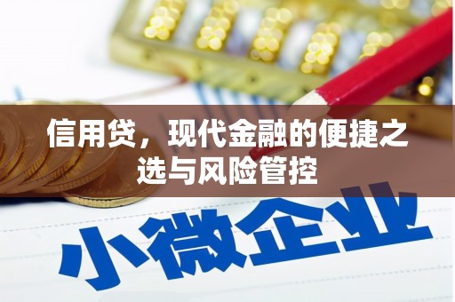 微山信用贷，现代金融的便捷之选与风险管控