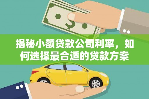 微山揭秘小额贷款公司利率，如何选择最合适的贷款方案