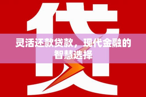 微山灵活还款贷款，现代金融的智慧选择