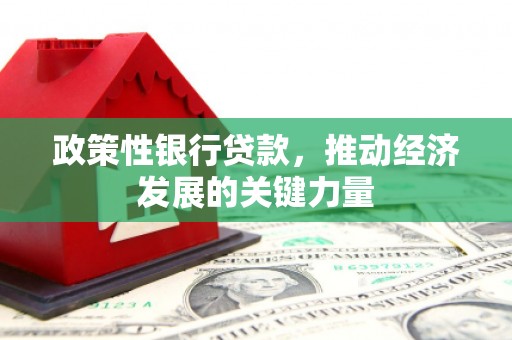 微山政策性银行贷款，推动经济发展的关键力量