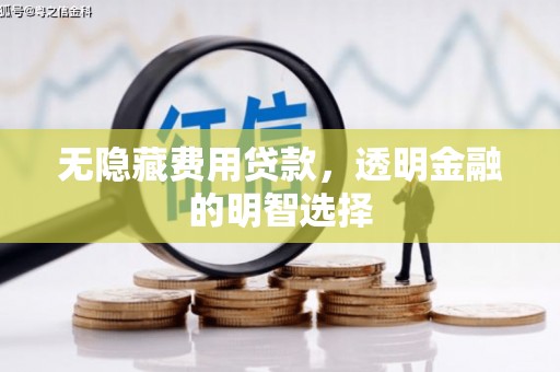 微山无隐藏费用贷款，透明金融的明智选择